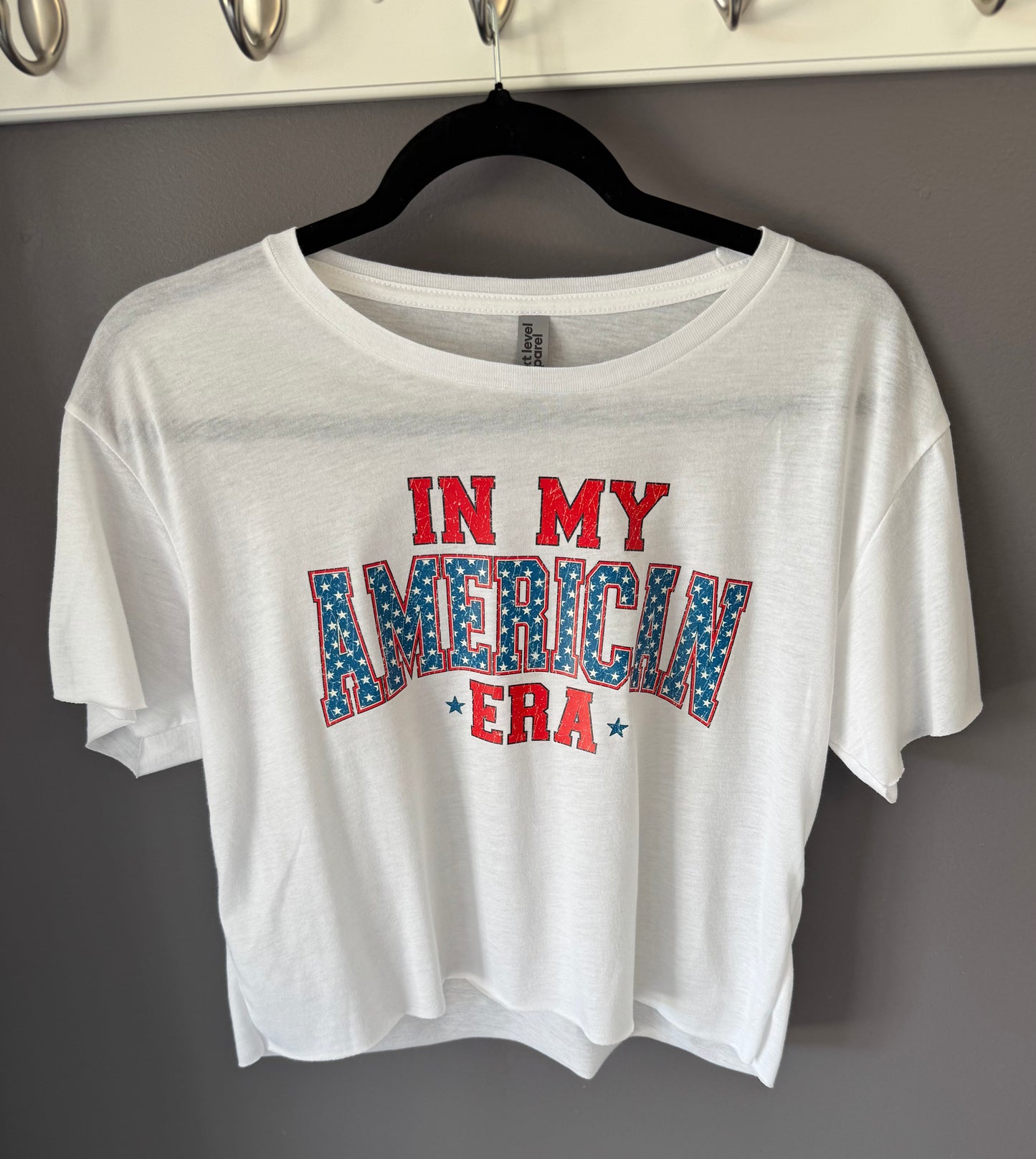 In my America Era Cropped Tshirt